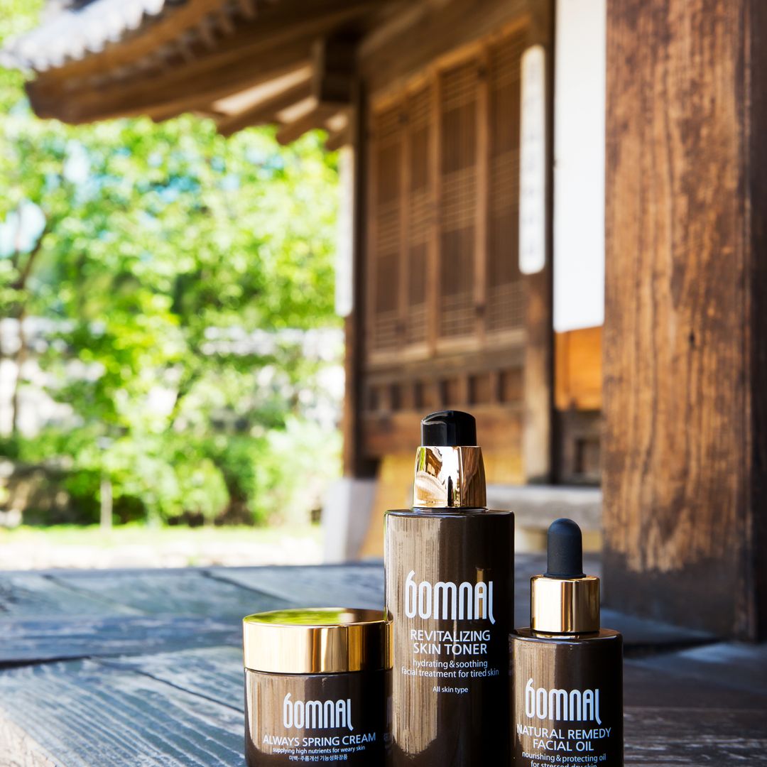 Building a Personalized Korean Skincare Regimen Through Ingredient Analysis